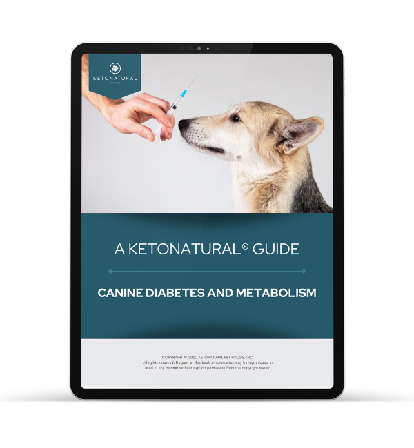 KetoNatural Diabetes EBook KetoNatural Pet Foods